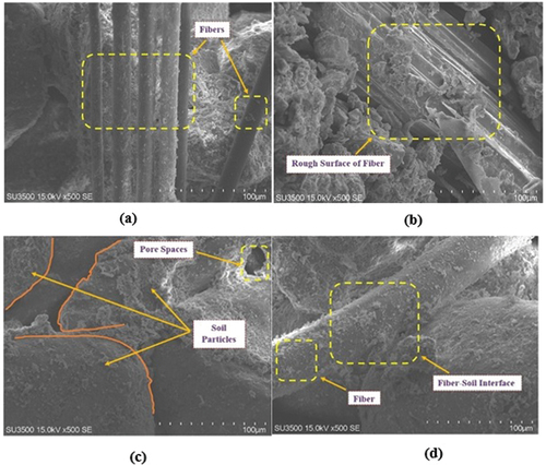 Figure 5. SEM Test: (a) Unreinforced soil (b) Bagasse fiber (c) Basalt fiber (d) Polyester fiber.