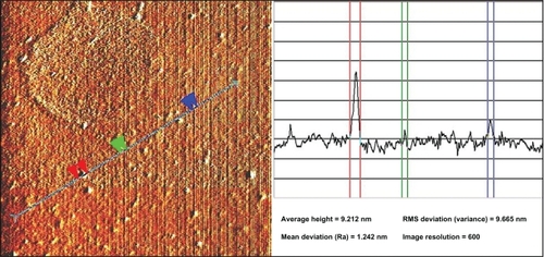 Figure 4 The AFM image of prepared Ag-NPs (S5).Abbreviations: AFM, atomic force microscopy; Ag-NPs, silver nanoparticles; Ra, arithmetic mean of surface roughness; RMS, root mean square.