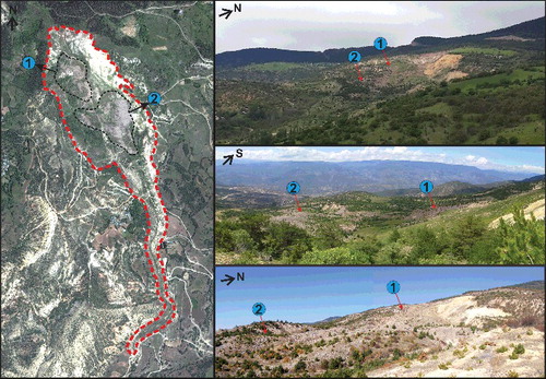 Figure 9. The block-rock-sized materials moving within the landslide.