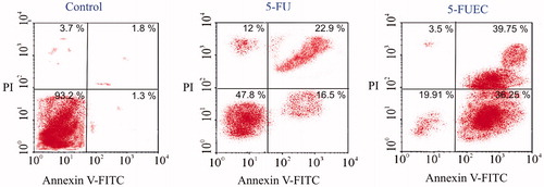 Figure 3. Apoptotic analysis of HCT-116 colorectal cancer cell lines treated with 5-FU and 5-FUEC by Annexin V-FITC/PI staining at 48 h. First row (vertical) is control that showed more than 93% viability.