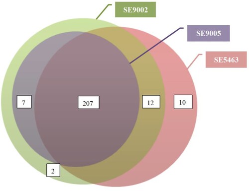 Figure 1. The relationship between the number of virulence genes carried by the isolates. The virulence genes of the remaining 8 isolates were consistent with SE5463, so they were not shown here.