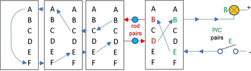 Figure 2. Rodding attack on Enigma without a stecker, a.k.a. “the method of isomorphs.”