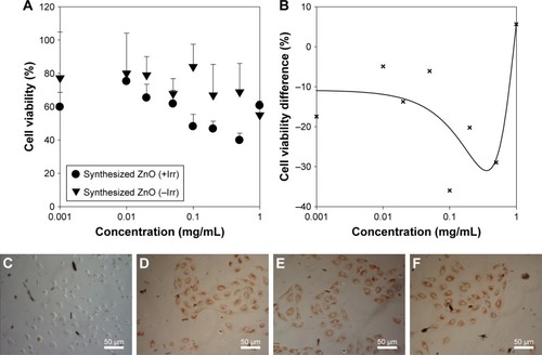 Figure 9 Phototoxicity of synthesized ZnO nanoparticles in Balb/c 3T3 cells: (A) cell viability and (B) cell viability difference after UV irradiation-based ZnO nanoparticle treatment, and representative images of cells treated with (C) 1.0, (D) 0.1, (E) 0.05, and (F) 0 mg/mL ZnO nanoparticles.Notes: +Irr: with UV irradiation, -Irr: without UV irradiation.Abbreviations: UV, ultraviolet; ZnO, zinc oxide.