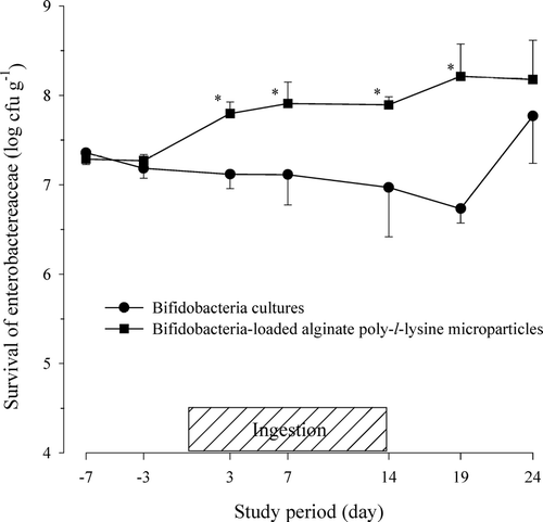FIG. 3 Viability of enterobacteriaceae in feces after the oral administration of protected bifidobacteria-loaded alginate poly-l-lysine microparticles in healthy human volunteers.