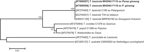 Fig. 2 Phylogenetic relationship based on ITS sequences, showing the closest known relatives of Thielaviopsis species. DNA sequences from the NCBI nucleotide database were aligned using ClustalW, and a phylogenetic tree was constructed using the neighbour-joining method. The numbers above the branches indicate bootstrap values. Bars indicate the number of nucleotide substitutions per site. The isolate studied in the present study is marked in bold.