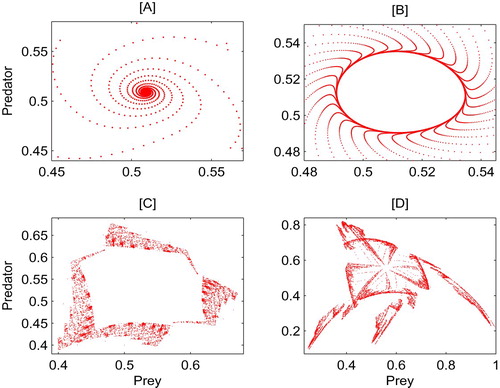 Figure 5. Phase-plan of system (Equation5(5) Z˙(t)={FS1(Z),Z∈S1,FS2(Z),Z∈S2,(5) ) with different r. [A] r = 2.18; [B] r = 2.213; [C] r = 2.4; [D] r = 2.65. The other parameters are identical to those in Figure 4.