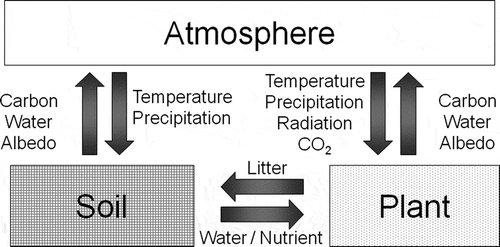 Figure 1 Schematic of feedback loops among atmosphere, plant and soil systems. Arrows indicate the direction of influence. CO2, carbon dioxide.