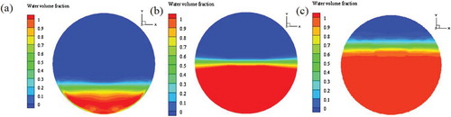 Figure 5. Contours of the water fraction in the cross-section of the pipe: (a) αw = 25%; (b) αw = 50%; (c) αw = 75%.