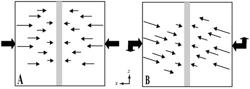 Figure 5 Model deformation conditions (plan view). (a) Plane strain: model is subject to 10% shortening along the x-axis. (b) Transpression: model is subject to 5% sinistral strike-slip deformation along the z-axis, in addition to 10% shortening along the x-axis. External (fat) arrows indicate relative magnitudes of x and z velocities applied to model boundaries; internal (finer) arrows indicate the magnitude and direction of forces working on the cell mesh. The grey-shaded area indicates central focus area towards which deformation forces are directed.