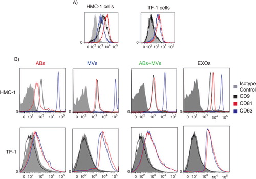 Fig. 6 Detection and characterization of extracellular vesicles (EVs) by flow cytometry. The CD9, CD63 and CD81 expression on HMC-1 and TF-1 cells (A) and their expression on different vesicles, using anti-CD63-coated beads, are shown. (B) Cells and vesicles were immunostained against the tetraspanin (open curve) CD9 (in black), CD63 (in blue) and CD81 (in red) and compared with their appropriate isotype control (filled curve). The graphs are representative of n=3.
