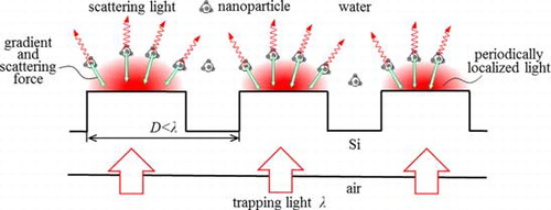 Figure 1. Schematic explaining the principle of the trapping of nanoparticles by periodically localized light generated on a subwavelength grating of period D < λ, where the wavelength of the incident light is λ.