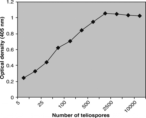 Figure 2.  Determination of optimum number of teliospores by indirect ELISA using anti-teliospore antibodies.