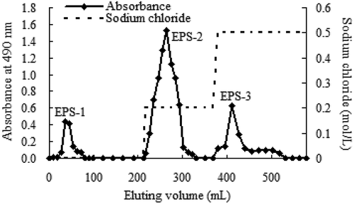 Figure 2. The elution profile of crude exopolysaccharides (CEPS) from Lactobacillus kimchi SR8 on a DEAE Cellulose ion-exchange column chromatography with a gradient of sodium chloride solution (0, 0.2, and 0.5 mol/L). Each elution peak represents a kind of exopolysaccharide (EPS) fraction. CEPS are purified and divided into three EPS fractions (named as EPS-1, EPS-2, and EPS-3).Figura 2. Perfil de elución de los exopolisacáridos crudos (CEPS) de Lactobacillus kimchi SR8 en una columna de intercambio iónico de celulosa DEAE con un gradiente de solución de cloruro de sodio (0, 0.2 y 0.5 mol/L). Cada pico de elución representa un tipo de fracción de exopolisacáridos (EPS). Los CEPS se purifican y se dividen en tres fracciones de EPS (denominadas EPS-1, EPS-2 y EPS-3)