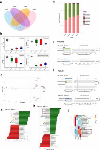 Figure 8. ST11 K. pneumoniae exacerbated the colitis-associated gut dysbiosis. Fecal pellets were collected from individual mice of the control (n = 3), AOM‐DSS-alone (n = 3), AOM-DSS-KPC160111 (n = 3), and AOM-DSS-KPC160132 (n = 3) groups at week 17 and subjected to the 16S microbial sequencing analysis. (a) The number of shared operational taxonomic units (OTUs) between groups is shown in the Venn diagram. (b) The α-diversity between groups is expressed by ACE richness, Simpson’s evenness, Shannon’s diversity, and phylogenetic diversity (PD_whole_tree) index. (c) The β-diversity on unweighted Unifrac distances are presented by partial least-square discriminant analysis (PLS-DA), showing the structure of bacterial communities between individual mice, which were untreated (gray-colored), or treated with AOM-DSS-alone (green-colored), AOM-DSS-KPC160111 (red-colored), or AOM-DSS-KPC160132 (blue-colored). (d) Relative abundance of OTUs per group is expressed by the bar chart showing percentages at the phylum level. The OTUs showing significant differences in relative abundance (%) in microbiomes of AOM-DSS-alone (blue bar) or with KPC160111 (green bar) or KPC160132 (purple bar) co-administration is shown at the phylum level (e) and the family level (f) with 95% confidence intervals and P values. The OTUs that were differently enriched were determined using LDA effect size (LEfSe) analysis. Compared to the AOM-DSS-alone (red bar), the differentially enriched OTUs with LDA score ≥2.0 by KPC160111 or KPC160132 administration (green bar) are shown in (g) and (h), respectively. The biomarker OTUs with LDA ≥2.0 for each of the four groups are highlighted in the heatmap (i)