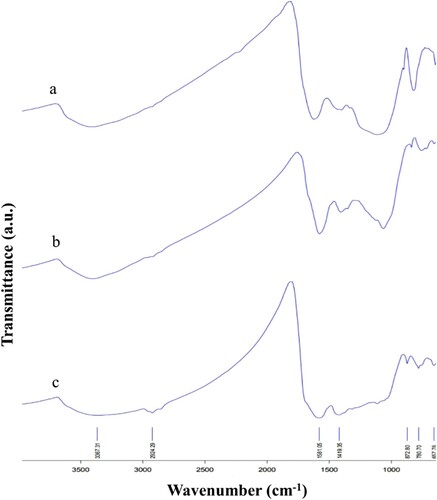 Figure 3. FTIR spectra of (a) rice straw biochar (RSBC), (b) maize stover biochar (MSBC), and (c) gam residue biochar (GRBC).