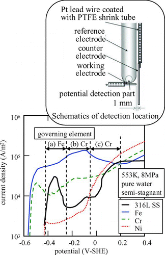 Figure 12 Anodic polarization curves of 304L stainless steel in pure water