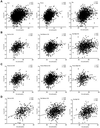 Figure 1 Association between LAP and UA. Log-transformation of LAP was performed to normalize its distribution before Pearson’s correlation analyses. (A) Association of LAP with UA in the overall population and grouped by genders, (B) subgroup analyses based on UGE in the overall population, (C) subgroup analyses based on UGE in women, and (D) subgroup analyses based on UGE in men.Abbreviations: LAP, lipid accumulation product; UA, uric acid; UGE, urine glucose excretion.