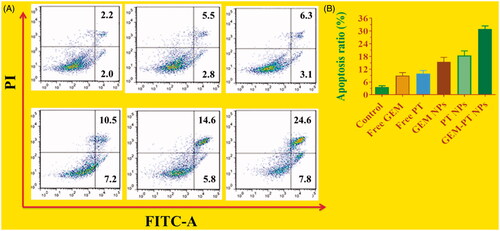 Figure 7. (A) Apoptotic analysis of CNE2 cells using flow cytometry. The cells were treated with free PT, free GEM, PT NPs, GEM NPs, and GEM-PT NPs at 2.5 µM concentration for 24 h and then stained with FITC annexin V/PI for flow cytometry analysis. (B) Apoptosis ratio of CNE2 cells.