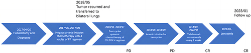 Figure 3 The timeline of patients treated.