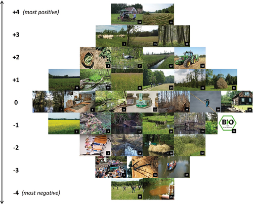 Figure 6. Model Q sort for the land use narrative. The ranking of the photos is based on the weighted averages of the Q sorts associated with the narratives. Photo credit: © 2022. Photo collage created by Tamara Schaal-Lagodzinski; Michael Petschick (photos #1, #4, #15, #20, #23, #26, #28, #33); Tamara Schaal-Lagodzinski (photos #2, #35, #37); Tom Noah (photos #3, #12); Stefan Fussan (photo #5); Biosphere Reserve Spreewald (#6, #9, #13 #19, #21, #25, #32, #34, #36, #16); Frank Kuba (photos #7, #30); Spreewald-Touristinformation Lübbenau e.V. (photo #8); Andreas Traube (photo #10); Nico Heitepriem (#11, #14, #17, #27, #22 [photo was cropped], #24, #29, #31); Andreas Göbel (photo #18). All Rights Reserved. Reproduced with permission and under Data Licence CC BY-SA 3.0 (photo #5).