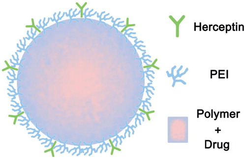 Figure 14. Schematic illustration of the eHER-PPNs. (Reprinted from Ref. [Citation114] Copyright 2016, with permission from Elsevier.)