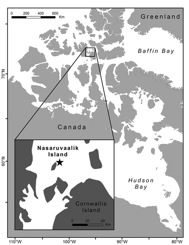 Figure 1. Location of the study site at Nasaruvaalik Island in Penny Strait, Nunavut (75°49′ N, 96°18′ W), in the Canadian High Arctic (Mallory et al. Citation2017)