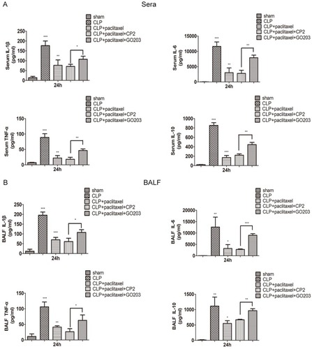 Figure 7 Downregulation of inflammatory cytokines by paclitaxel in sera and BALF of CLP-induced septic mice was reversed by MUC1 inhibitor. The levels of IL-1β, IL-6, TNF-α, IL-10 in sera (A) and bronchoalveolar lavage fluid (BALF) (B) were analyzed by ELISA. Data represent mean ± SD (n=6). *P<0.05, **P<0.01, ***P<0.001.