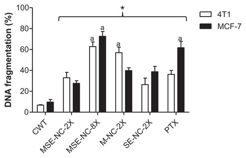 Figure 8 Effects of 48 hours treatment with nanocapsules MSE-NC, M-NC, and SE-NC on the percentage of DNA fragmentation in 4T1 and MCF-7 cell lines.Note: Breast carcinoma cells were stained with propidium iodide and analyzed by flow cytometry. Data were normalized with the untreated control and expressed as percentage of the mean ± SEM of two independent experiments performed in triplicate. *Denotes the statistical difference with respect to the control group without treatment (CWT); adenotes the statistical difference with respect to MSE-NC-2X; P < 0.05. 2X = 50 μg/mL of selol and/or 2.5 × 109 particles/mL; 8X = 200 μg/mL of selol + 1 × 1010 particles/mL.Abbreviations: MSE-NC, PLGA-nanocapsules loaded with magnetic nanoparticles and selol; M-NC, PLGA-nanocapsules loaded with magnetic nanoparticles; SE-NC, PLGA-nanocapsules loaded with selol; CWT, control with no treatment; PTX, Paclitaxel.