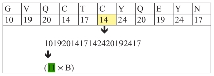 Figure 12 Discrete code 11 connects groups of amino acids.