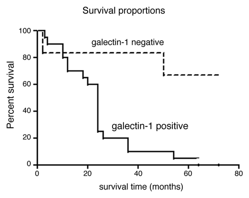 Figure 3. Survival analysis of galectin-1 immunostaining and patient survival in validation cohort 2 (Cleveland Clinic cohort). Patients with negative galectin-1 staining (IHC score 0) had significantly longer survival than the patients with positive galectin-1 staining (IHC score ≥ 1+) with hazard ratio 4.9 (p = 0.002).