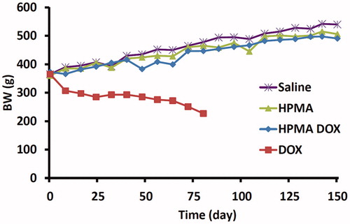 Figure 1. Body weight changes of Wistar rats treated with different compounds. Note that only rats treated with DOX had a decrease in body weight over time.