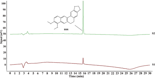Figure 2 BBR in PCC extract was analyzed using HPLC. (S1) PCC extract with 95% ethanol. The purity of BBR was over 95% and the content of BBR was over 3.0%. (S2) BBR standard solution.