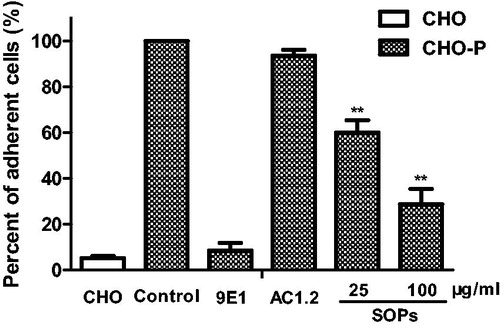 Figure 2. SOPs inhibit the adhesion of HL-60 cells to CHO-P cells under static conditions. Values are calculated as a percentage of the positive control. All results represent three independent experiments. **p < 0.01.