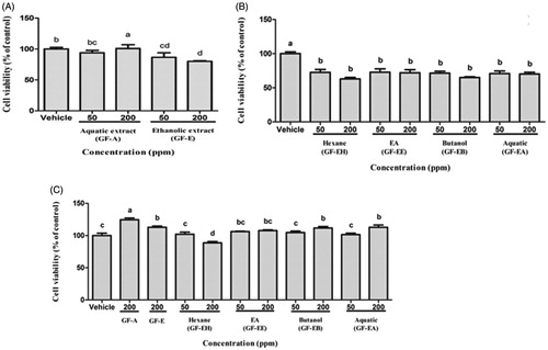 Figure 2. Cell viability analysis of DU145 cells after treated with G. formosanum extracts. (A) DU145 cells treated with GF-A and GF-E for 48 h. (B) DU145 cells treated with various GF-E fractions for 48 h. (C) Human fibroblast cells treated with G. formosanum extracts for 48 h. Statistical differences were analyzed by Duncan’s new multiple range test. Values are presented as mean ± SE. Three independent experiments with different superscripts (A, B, C, D, E) are significantly different (p < 0.05).