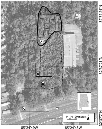 Figure 1. Map of the study area in Opelika, Alabama, with Lee County marked in the lower right. Survey area A with 10 grids outlined. Area B of the second cemetery site confirmed by two oral histories. C: Site of the previously existing house as well as gravesites confirmed by one informant and aerial photographs. D: Area that was clear cut in 2011. Aerial photograph accessed from Google Earth™ (Citation2021).