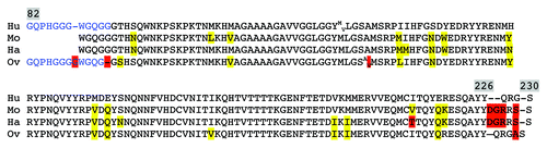 Figure 1. Sequence alignment of the human, mouse, hamster and sheep PK-resistant PrPSc peptide. Numbering was according to the human sequence. Letters in blue correspond to amino acids present in the main PK fragment of 21 kDa strains (or Type 1) but not in 19 kDa (or Type 2) ones. Letters highlighted in red indicate difference with the human sequence and those highlighted in yellow indicate amino acids considered as similar (or positive) using the blast comparison software.