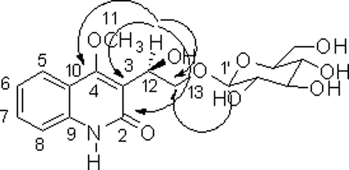 Figure 3.  Key HMBC (→) Correlations of 1.