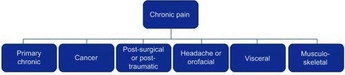 Figure 1 Types of chronic pain.