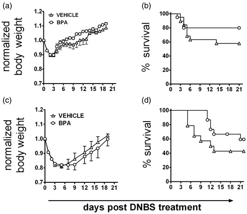 Figure 1.  Neither direct nor developmental exposure to BPA alters morbidity and mortality from inflammatory colitis. Colitis was induced to adult male mice by rectal administration of DNBS, and (a and c) body weight and (b and d) mortality were recorded at regular intervals for 21 days. (a and b) Adult male mice were orally exposed to BPA starting 7 days prior to DNBS administration (Day 0), and BPA exposure continued throughout the observation period (n = 40/group). (c and d) Colitis was induced in adult male mice (8–10-weeks-of-age) that were developmentally exposed to peanut oil vehicle or BPA during gestation and via lactation (n = 15/group). Similar findings were observed in developmentally-exposed female offspring (not shown). Data are representative of two independent experiments that yielded similar results. All data are plotted as the mean ( ± SEM).