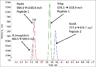 Figure 1. Example LC-MS/MS chromatogram for 4 monitored MRM transitions. Two peptides for NadA, one peptide for fHbp, and one peptide for the myoglobin internal standard are shown.