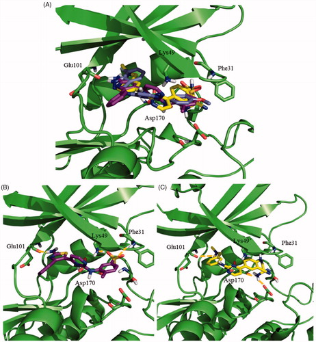 Figure 4. Docking results for the N-phenylpyrimidine-2-amines into modelled LmjGSK-3. (A) Superposition of compounds 124 (magenta), 119 (yellow) and 95 (purple) on LmjGSK-3 protein. Key residues were labelled. (B) Binding mode of compound 124. The main interactions were highlighted. (C) Binding mode of compound 119 showing the main interactions found in the complex.