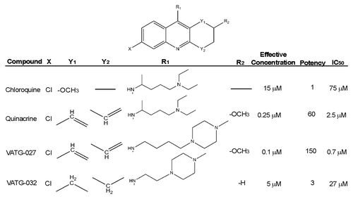 Figure 3. Relative autophagy inhibition (EC), cytotoxicity (IC50), and chemical structure of novel autophagy compounds. The EC, IC50, and structures of the top compounds, VATG-027 and VATG-032, are shown in comparison to chloroquine and quinacrine