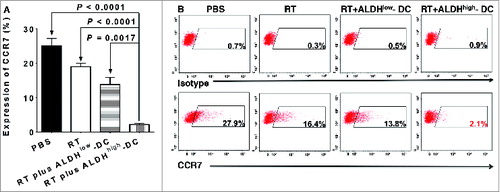 Figure 4. RT plus CSC-DCs significantly decreased CCR7 expression on primary s.c D5 tumor cells. D5 melanoma tumors from mice treated with phosphate buffered saline (PBS), radiotherapy (RT), RT plus ALDHlow-DC or RT plus ALDHhigh-DC (CSC-DC) were dissociated and tumor cells stained using with phycoerythrin (PE) conjugated anti-CCR7 or isotype control antibodies. The expression levels of the chemokine receptor were detected by cytofluorometric analysis. (A) The bar graph shows the mean +/− SE. (B) Flow cytometry histograms using mixed D5 cells harvested from multiple animals in each treatment group. Data are representative of 3 experiments performed.
