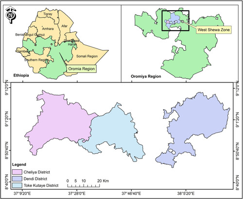 Figure 1 Map of Ethiopia showing the study areas (Dendi, Cheliya and Toke Kutaye districts) where milk samples were collected from Zebu cows. The map was sketched using ArcGIS 9 software (ArcGIS™ version 10.7, California, USA).