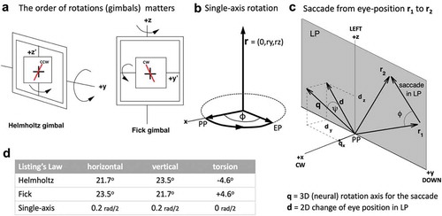 Figure 2. (a) Pseudotorsion arises when specifying an eye position in Listing’s plane through a nested 3D gimbal system, in which only the first axis is head-fixed, and the other two axes are eye-fixed. In the Helmholtz gimbal, the head-fixed axis is horizontal, in the Fick gimbal, it is vertical. (b) In a fully head-fixed system, the eye orientation can be specified by a single-axis rotation around an axis, r, which is perpendicular to the primary and final gaze directions. Listing noted that it is confined to a plane, called Listing’s plane (LP) by his contemporaries, and the primary position is perpendicular to this plane. Listing’s law, hence, states that all torsional components of the eye-position axes are zero: rx = 0. (c) However, when making an eye movement between two tertiary eye positions in LP, here indicated by r1 and r2, the brain needs to select a rotation axis, q, that tilts out of Listing’s plane by angle ψ, according to the so-called “half-angle rule.”Citation3 This axis, therefore, will typically have a true torsional component, although all eye positions during the eye movement remain in LP. It can be shown that the eye positions then follow a straight trajectory in LP, indicated by the difference vector, d = r2−r1 (see Figure 3).