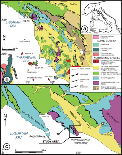 Figure 1. Geological setting: (a) Tectonic sketch map of Italy and neighboring regions. Black lines are thrust fronts of Alpine belts; (b) simplified geological map of the Northern Apennines and Corsica (modified after CitationPapeschi et al., 2017). AA: Alpi Apuane; MP: Monti Pisani; MR: Monticiano-Roccastrada; MTR: Mid-Tuscan Ridge; (c) Tectonic sketch map of the La Spezia area highlighting the location of the study area (modified after CitationClemenzi et al., 2015). PBU: Punta Bianca Unit; TD: Tellaro Detachment.