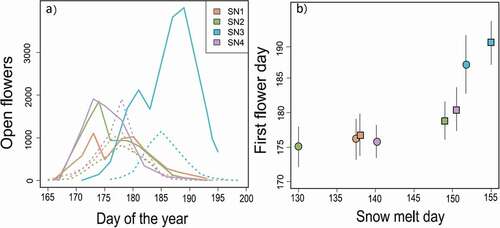 Figure 1. Flowering phenology in Silene at four sites at Niwot Ridge, Colorado. (A) The total number of open flowers across all plants in a site over time in 2016 (solid lines) and 2017 (dotted lines). (B) Mean flowering time across all plants (± standard deviation), correcting for plant size and sex effects (see “Methods”), is correlated with the last day with snow cover across sites and years (circle = 2016, square = 2017)