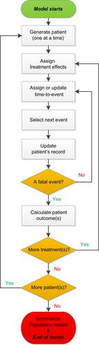 Figure 1 Diagram of the simulation model process.