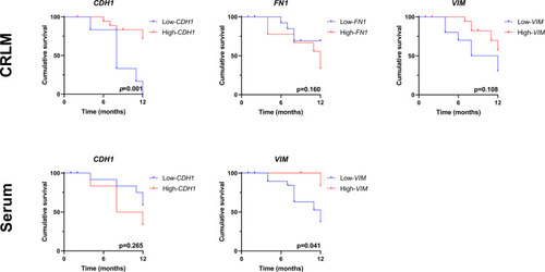 Figure 3 Decreased CDH1 expression in CRLM and decreased VIM expression in serum was associated with one-year recurrence following liver resection. Kaplan–Meier curves of one-year recurrence-free survival for low- and high- CDH1, FN1 and VIM groups based on CRLM and serum expression. CRLM, colorectal liver metastases.