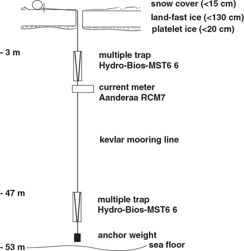 Fig. 4 Sediment traps and current meter mooring line deployed at station R1 from 8 November 2001 to 6 December 2001 in Pierre Lejay Bay.